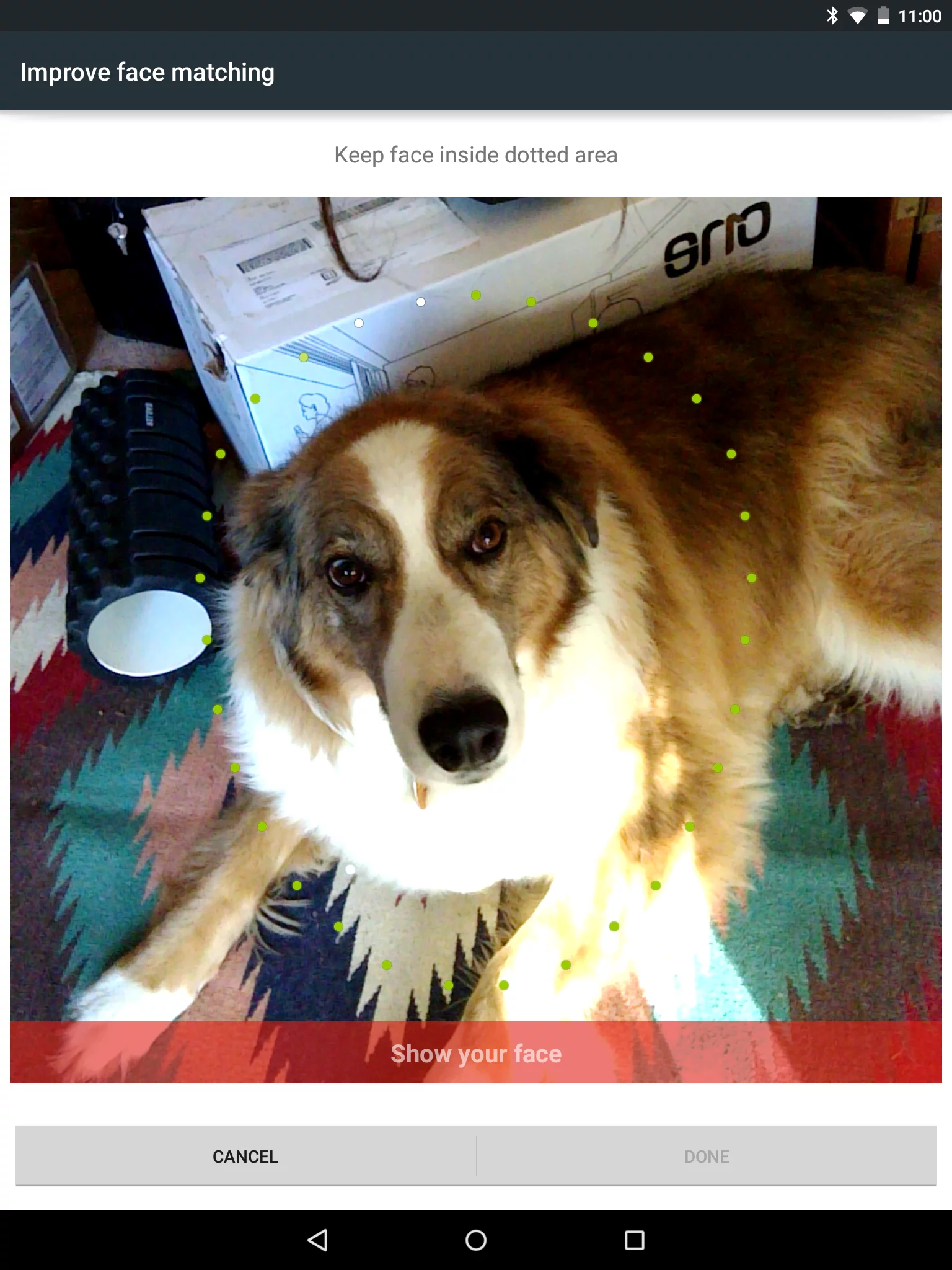 Face unlock works for all members of the family