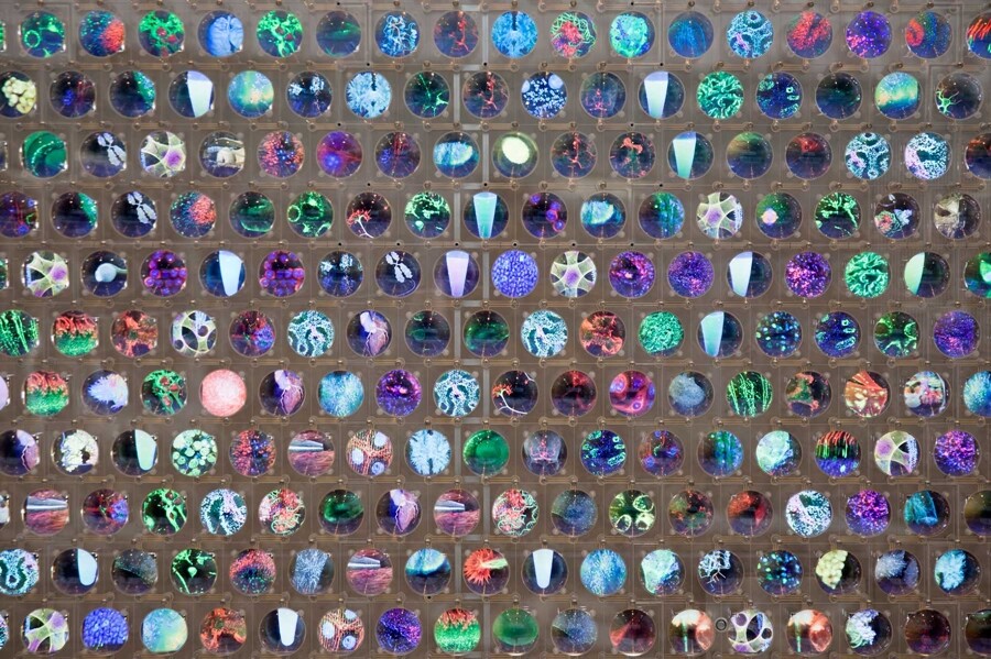 When viewing the Discovery Wall up close at the micro level, visitors will see individual images and text overlays on the mini-screens