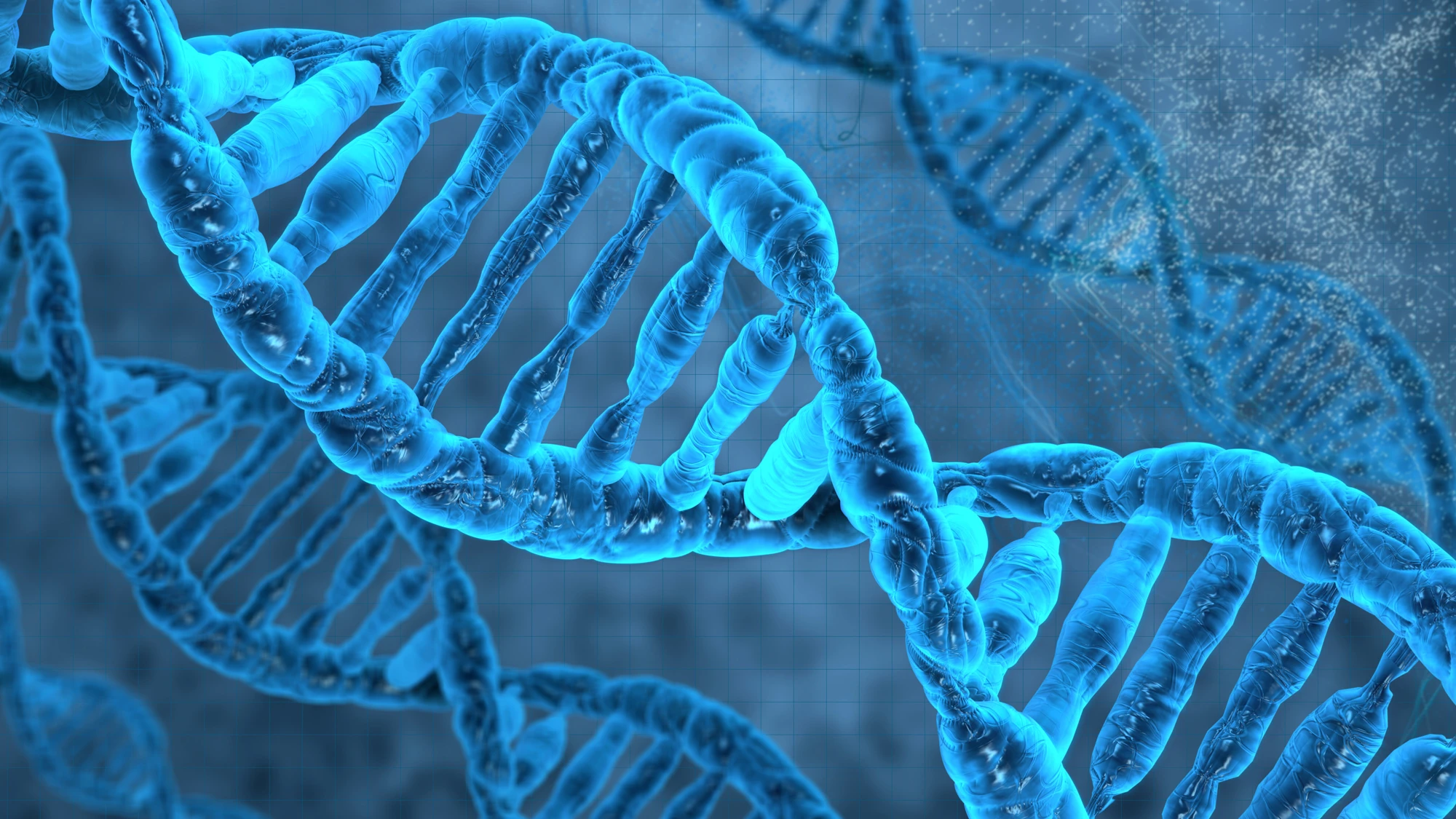 US researchers have engineered a bacterium whose genetic material includes DNA or bases not found in nature (Image: Shutterstock)