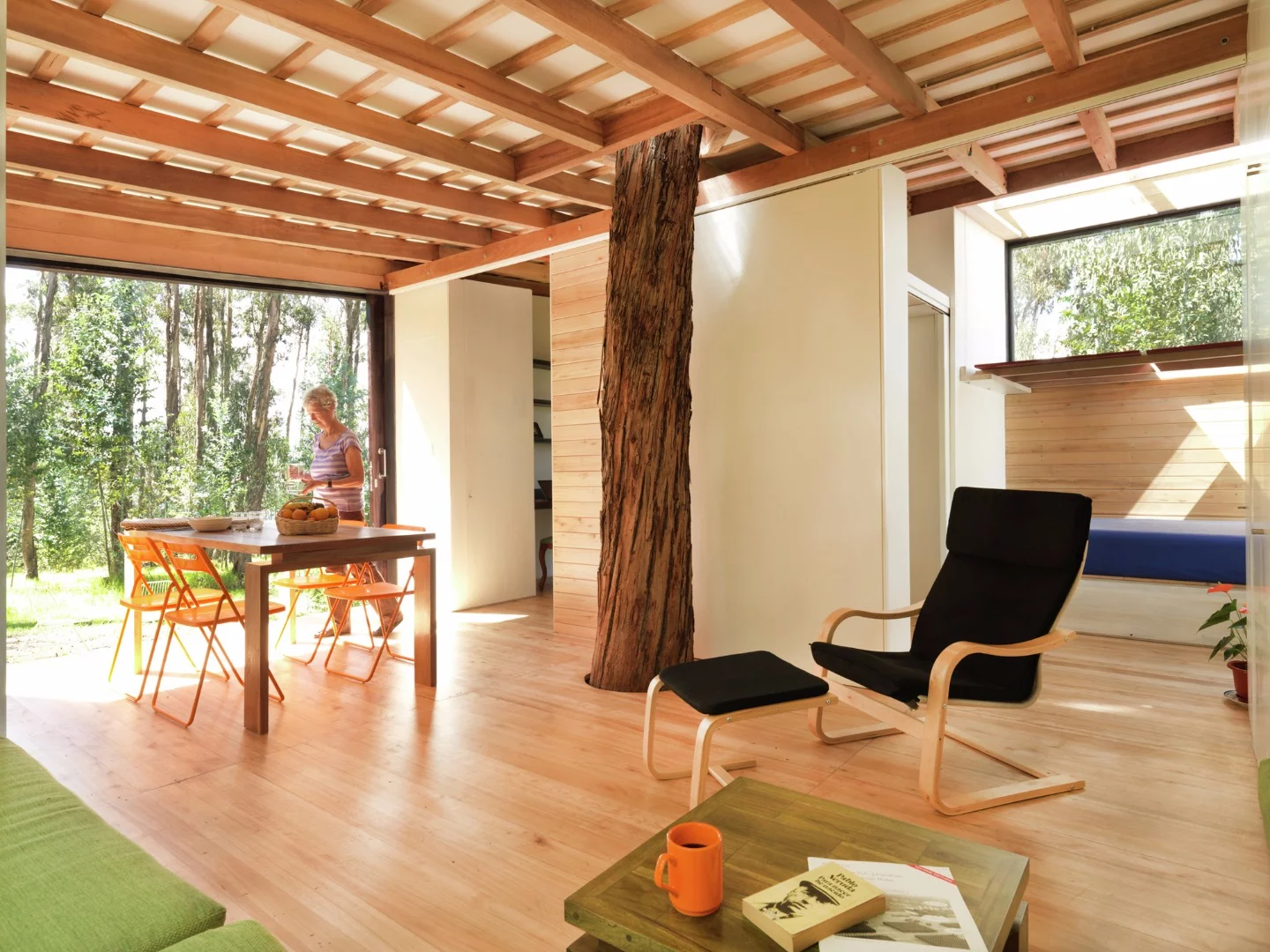 A pre-existing tree bursts its way through the center of the home