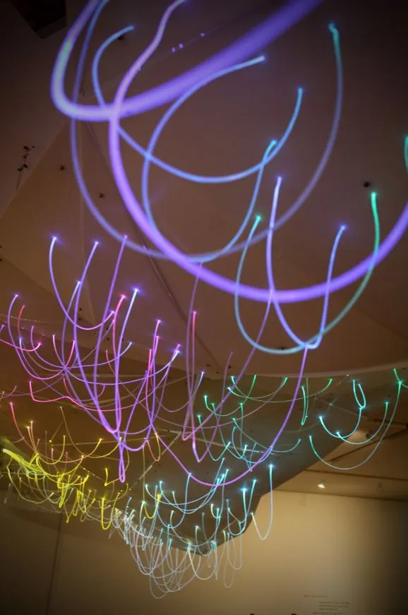 The collected data is displayed through six fiber optic illuminators located on the roof the Museum of Art's "Data Curation" center (Photo: E/B Office)