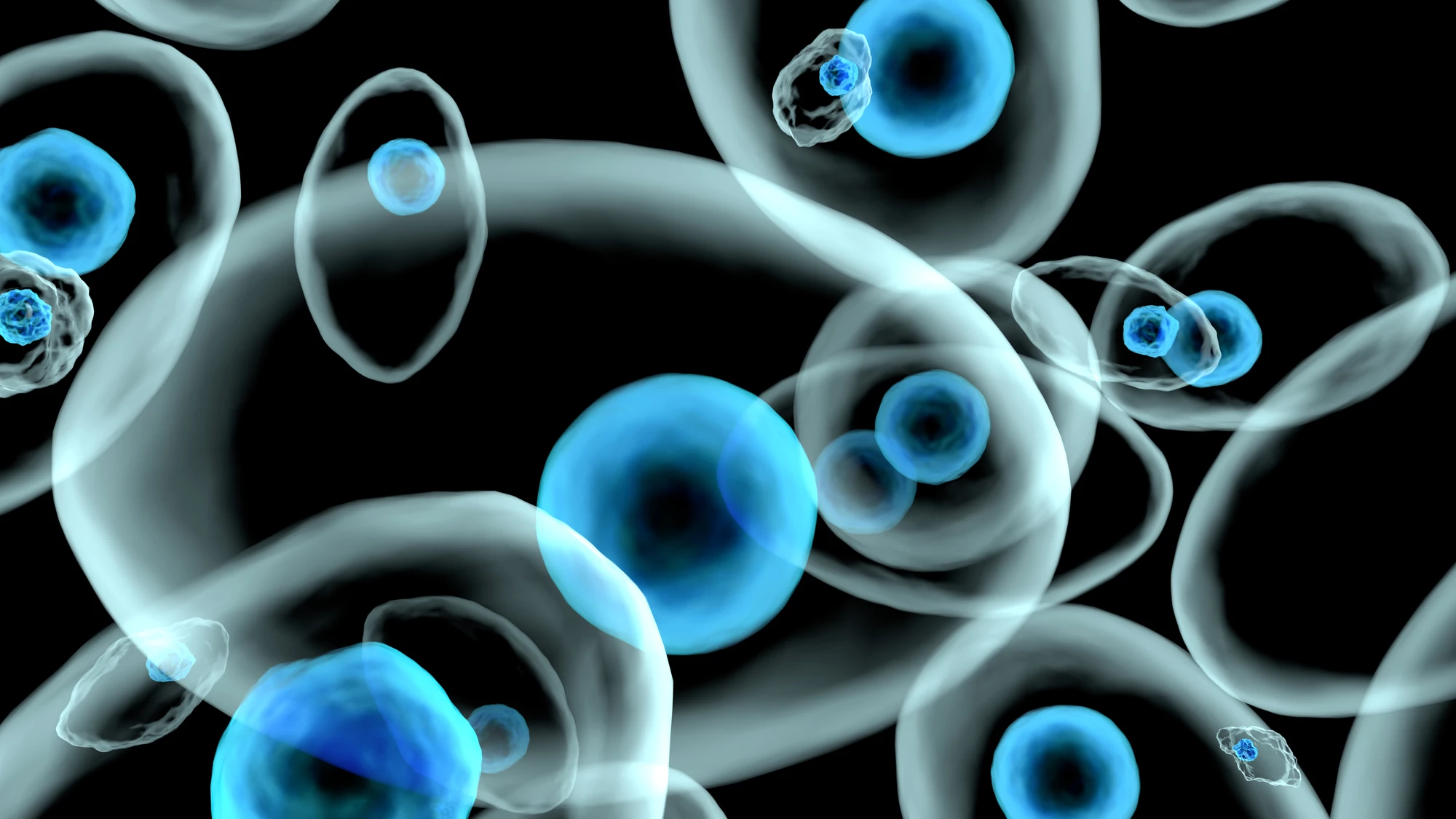 Scientists have developed a novel X-ray detector they say paves the way for real-time imaging of living cells