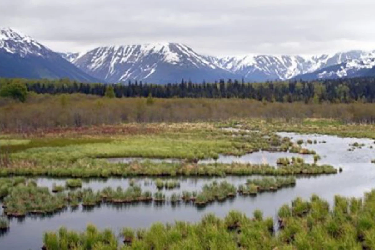 The Arctic permafrost is melting, which will release extra methane and other greenhouse gases