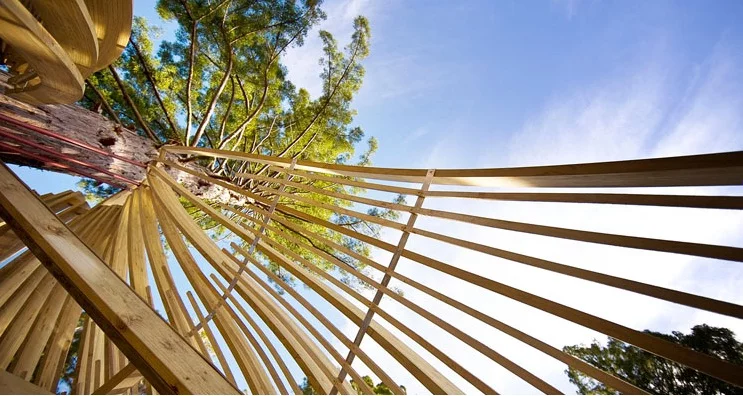 Open space left between the fins and slats allows for natural sunlight to filter through the structure during the day