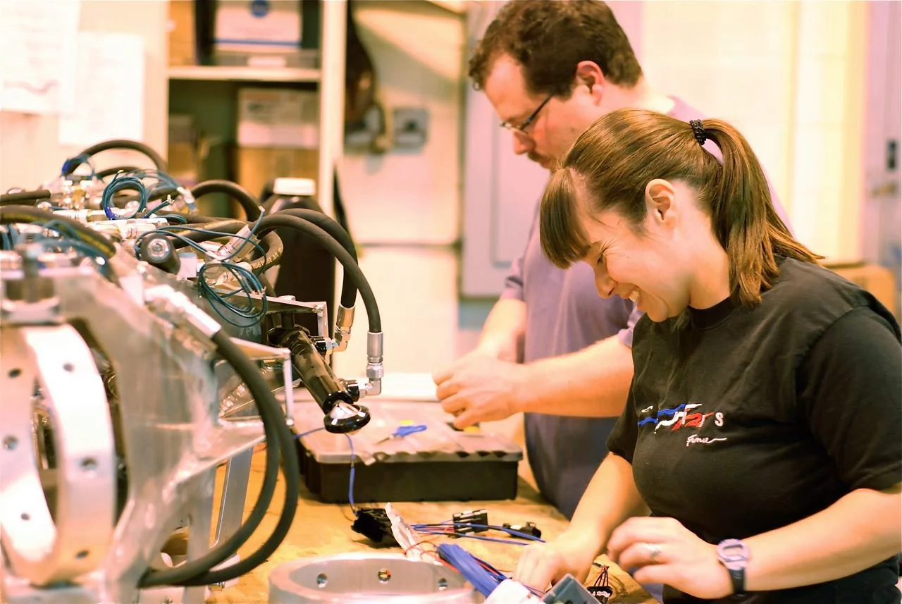 eatART members working on Titanoboa