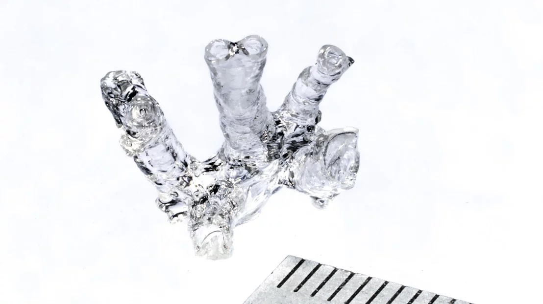 A hollow mouse pulmonary artery, 3D-printed using the new technique