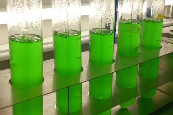 The newly discovered natural molecule could be as effective as Roundup but potentially safe and non-toxic to humans and animals