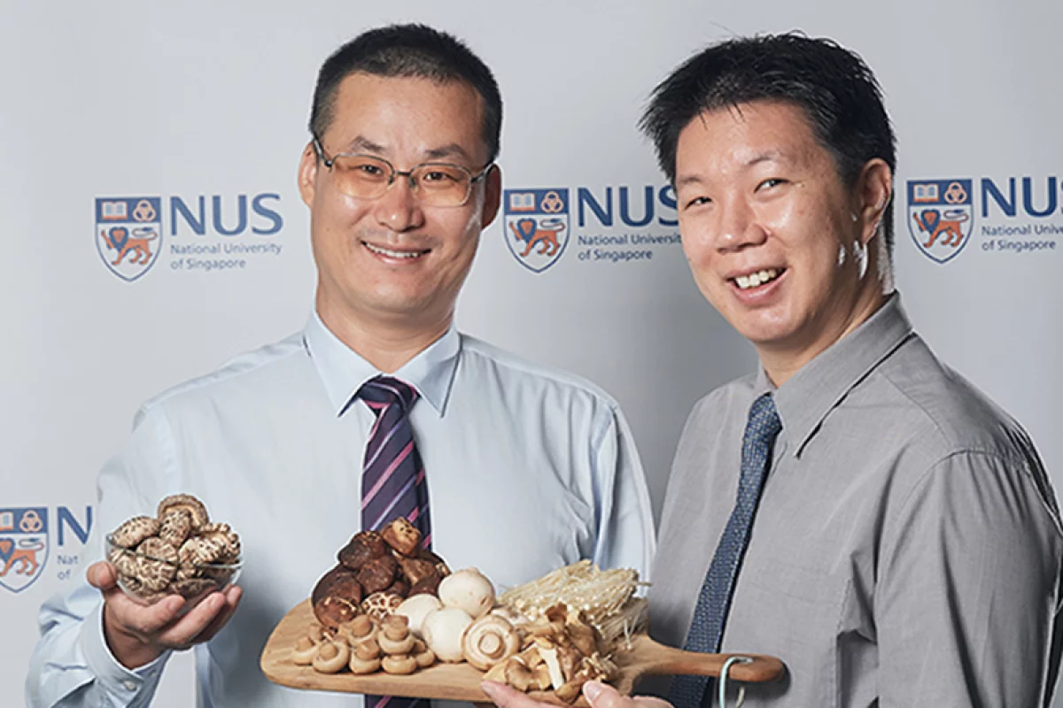 The study was led by Asst. Prof. Feng Lei (left) and Dr. Irwin Cheah