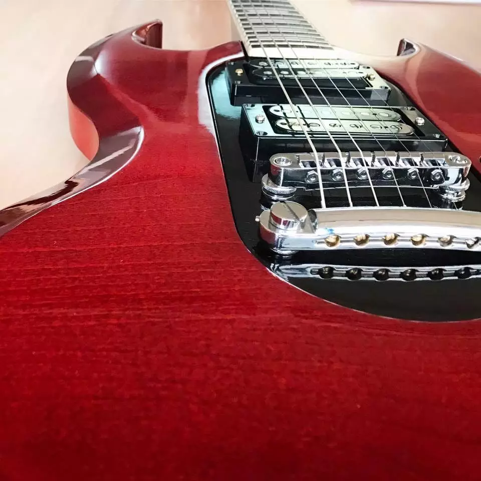 The Pol body core sports two humbucking pickups and a hardtail bridge