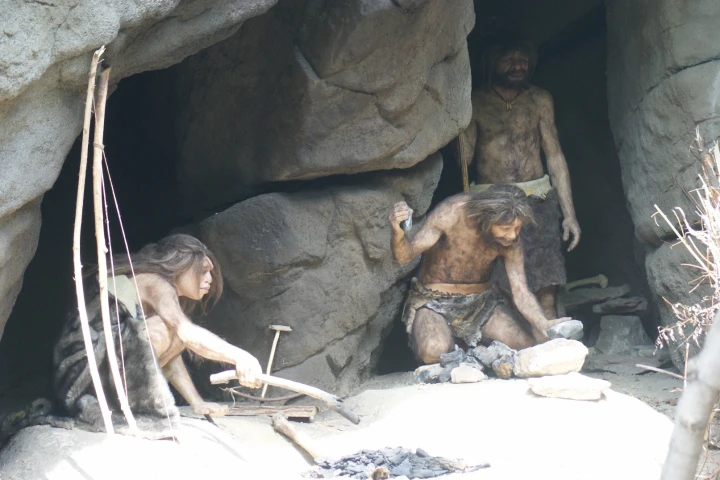 Analysis of Neanderthal teeth gives new clues about their diets, and suggests they may have even understood the pain-relieving effects of certain plants