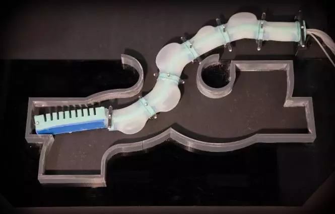 MIT researchers have come up with a 3D printed, soft-shelled, disembodied tentacle robot that slithers like a snake (Photo: Jason Dorfman, CSAIL)