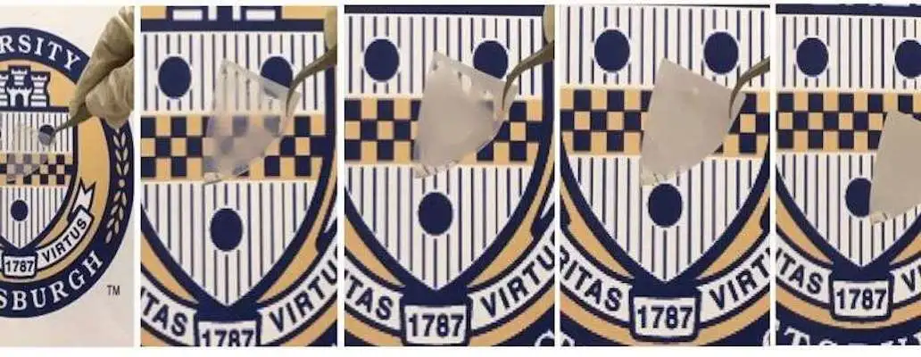 Thanks to its nanoscale "grassy" structure, a new kind of glass can switch between clear and cloudy in seconds just by adding or removing water