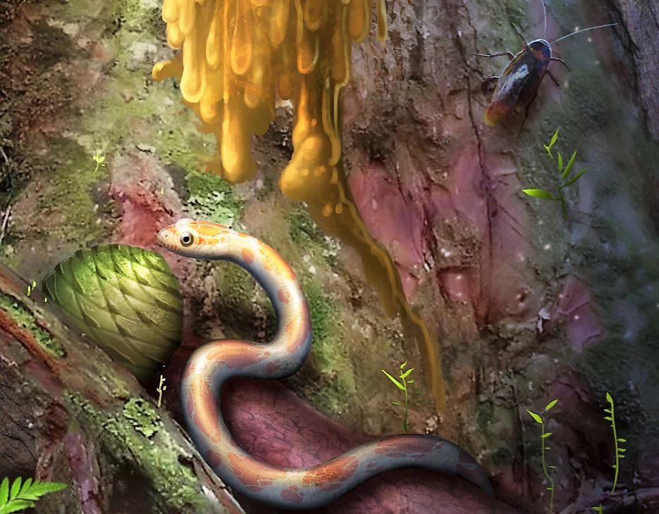 A life reconstruction of Xiaophis in its natural environment