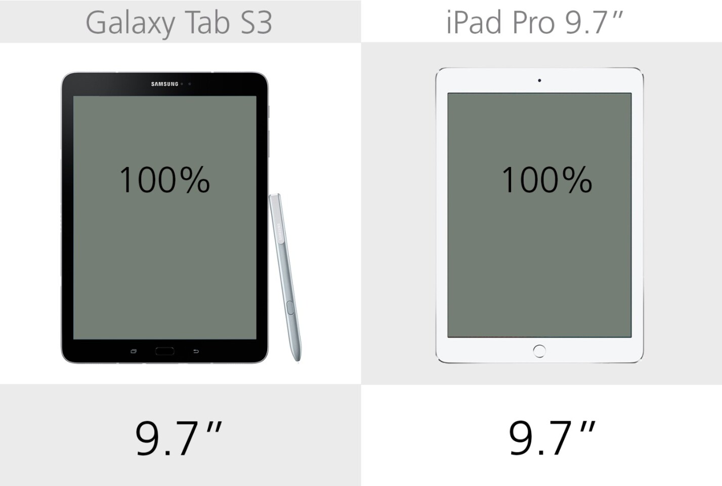 Display size