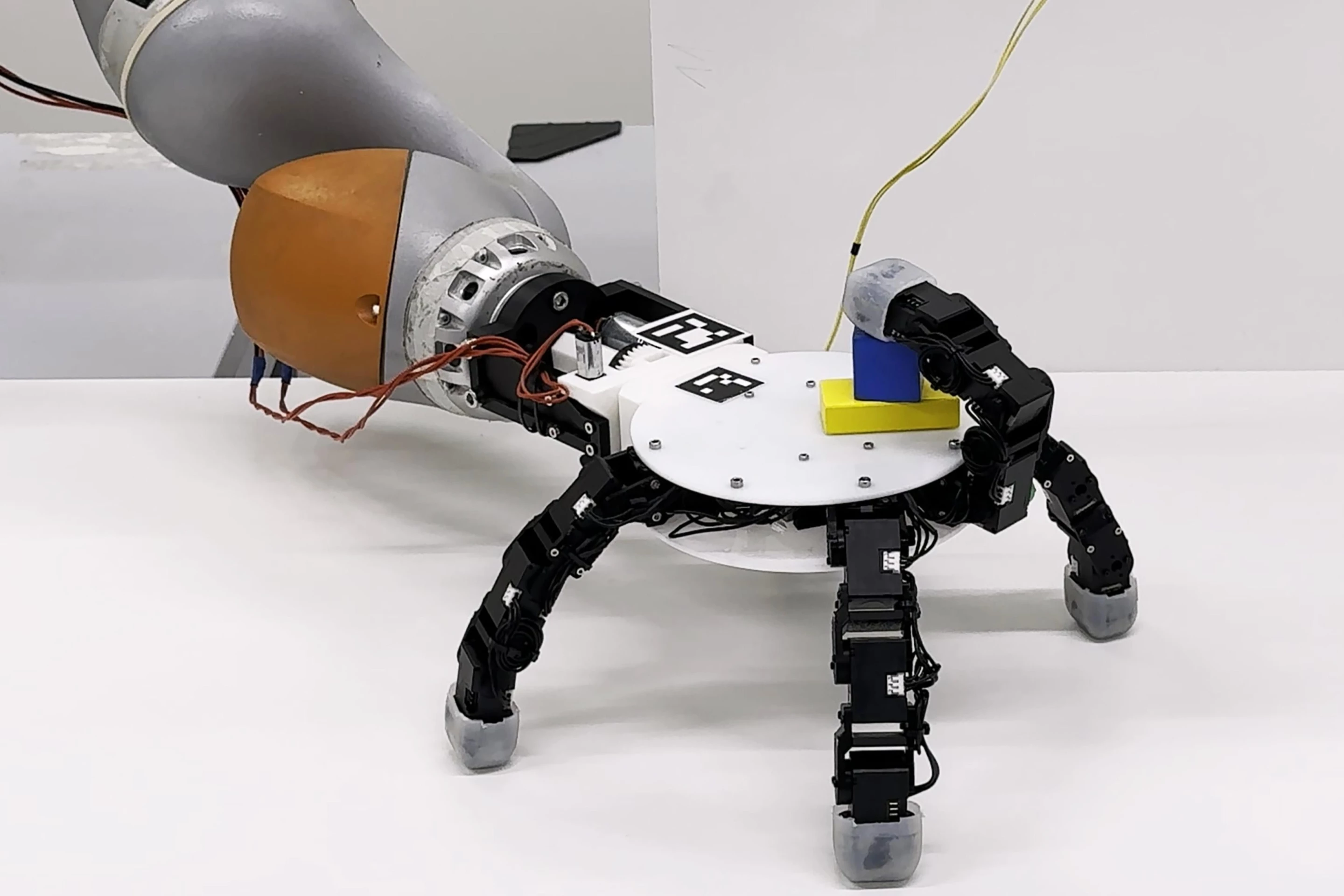 Because the fingers can reach right around, the hand is capable is capable of carrying and manipulating items on its back