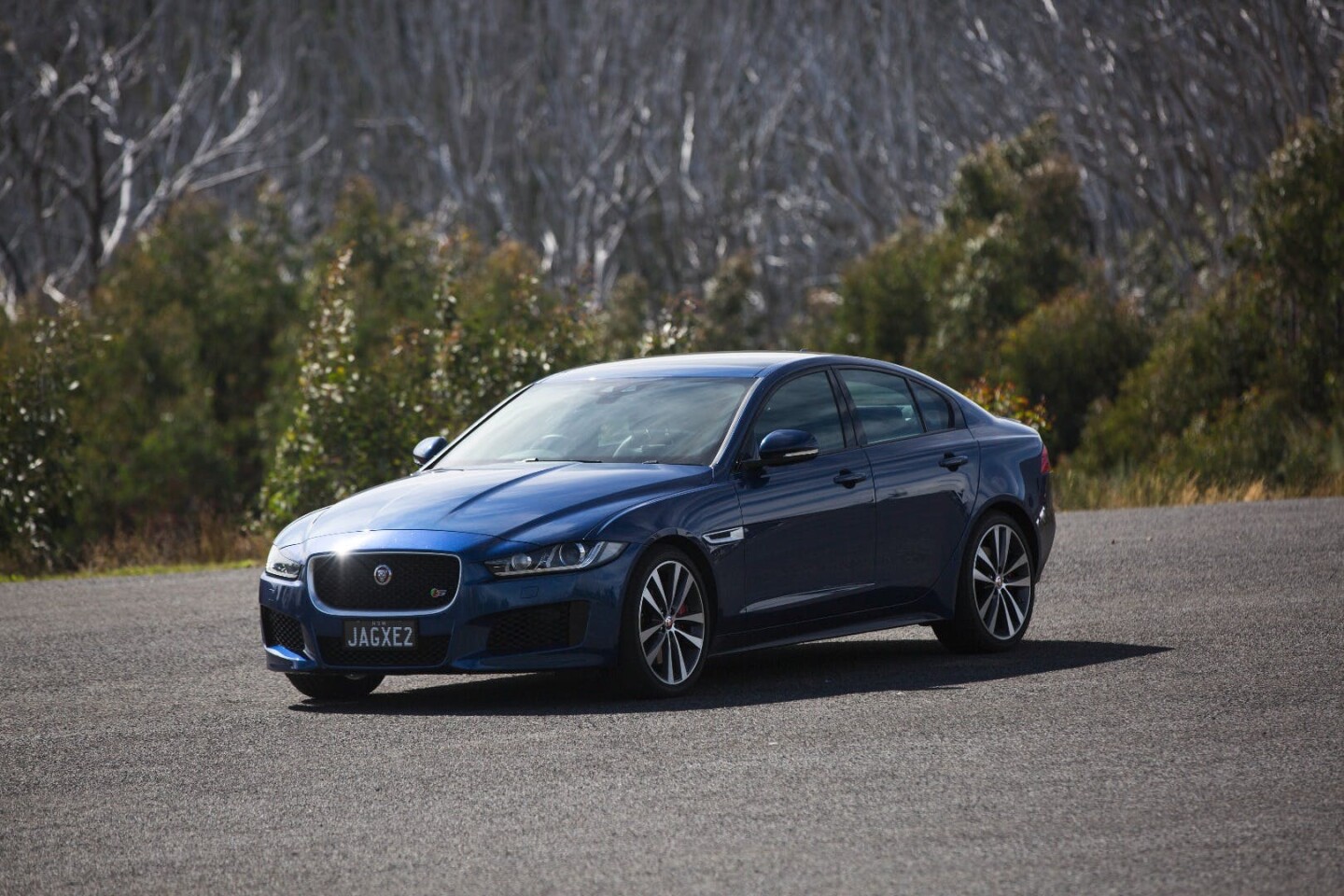 Jaguar proved surprisingly reliable in the survey