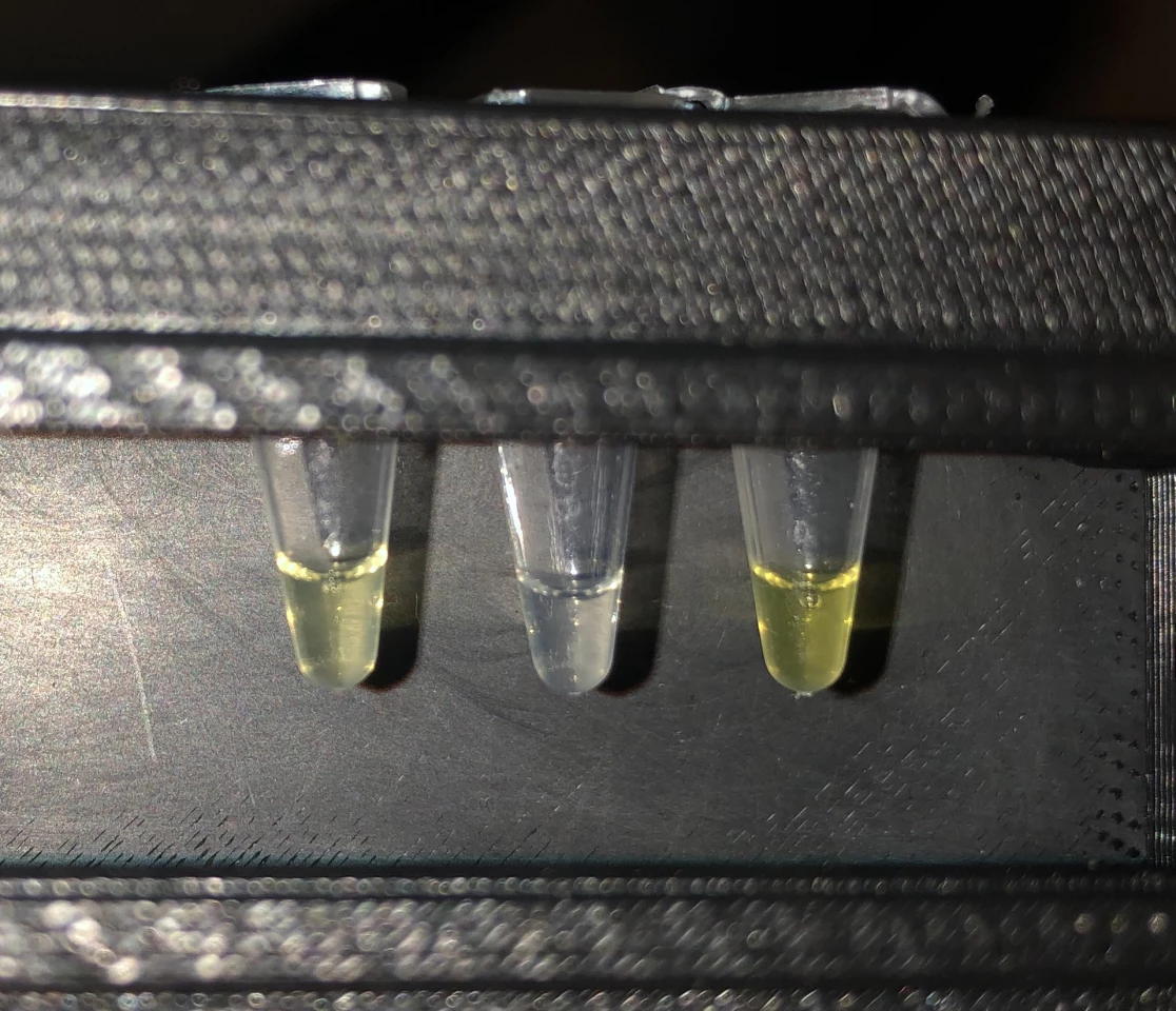 A close-up look at the testing system