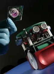 “Gordon” can use its biological brain to navigate around a room, and scientists hope that repeated exposure to the same settings will provoke signs of recognition in the brain cells.Image via University of Reading