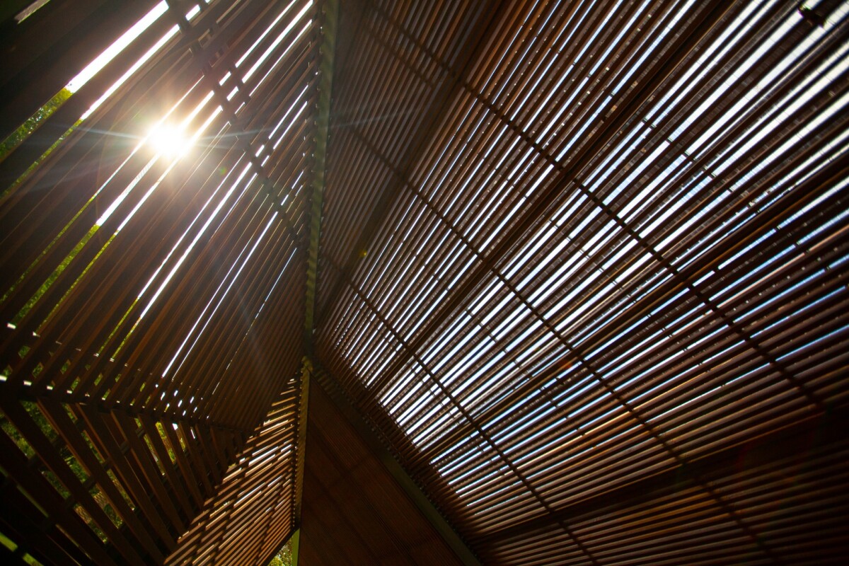 Looking upwards at the MPavilion 2018