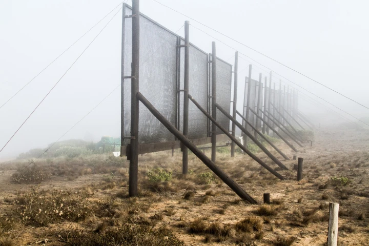 Fog nets set up on the mountains of Peña Blanca, Chile