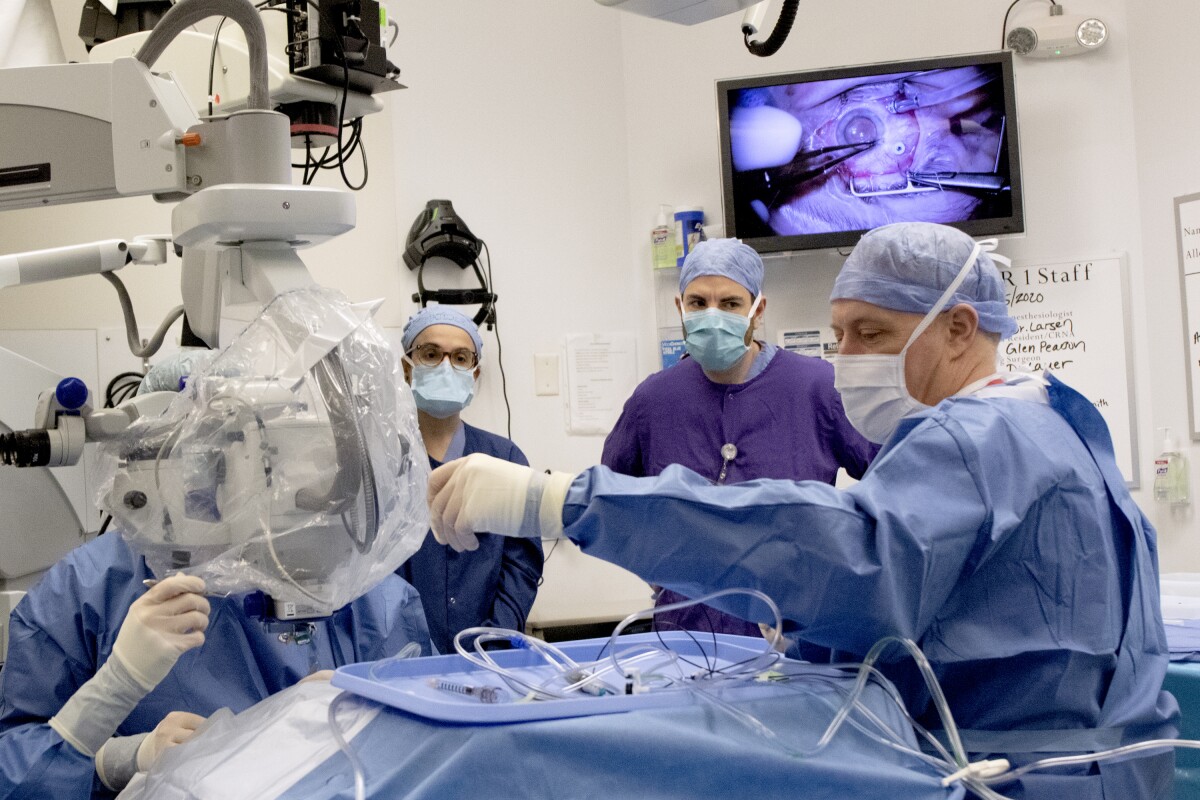 First in-body CRISPR human trial targets hereditary blindness