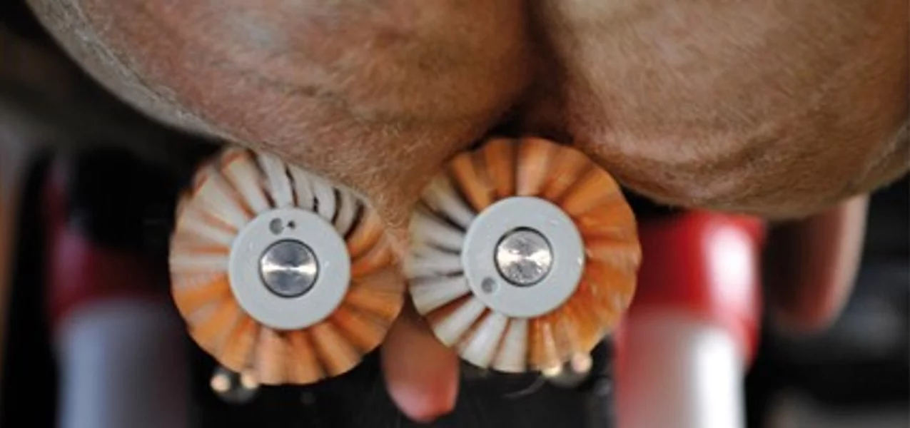 Counter-rotating teat cleaning brushes remove dirt and manure