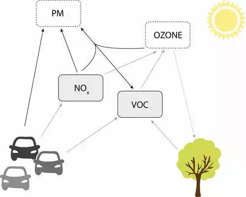 The VOCs emitted from trees and plants react with the NOx from cars to create ozone