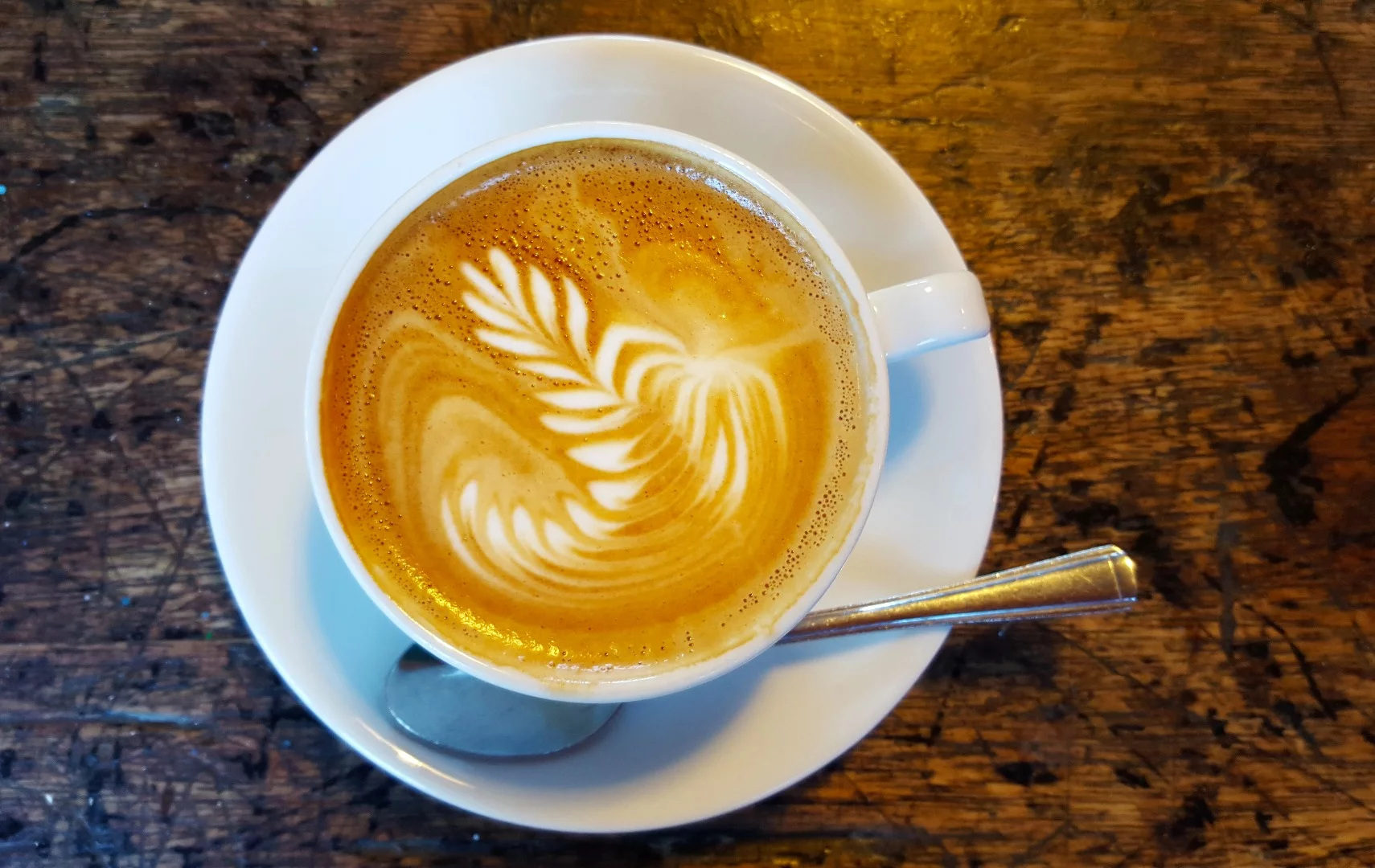 A faster lens with a wide aperture (in this case the F1.9 lens of the Samsung Galaxy S6) lets you isolate the subject from the background on close-up shots