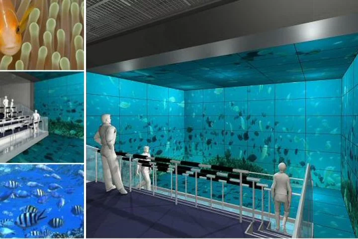 Sharp has installed 156 PN-V601 60-inch LCD monitors and an image transmission system in a theme park attraction in Japan