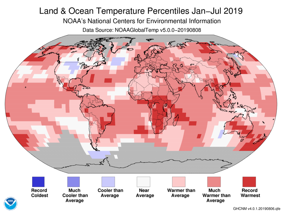 The report found that the first six months of 2019 were tied for second-hottest on record