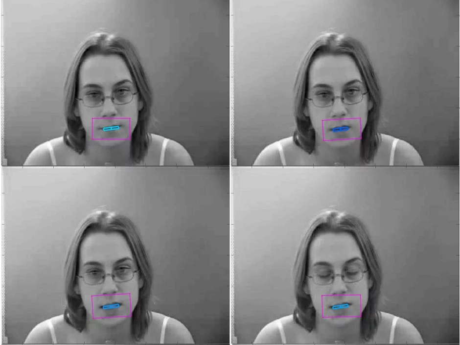 The scientists have already developed a 3D mouth-tracking algorithm