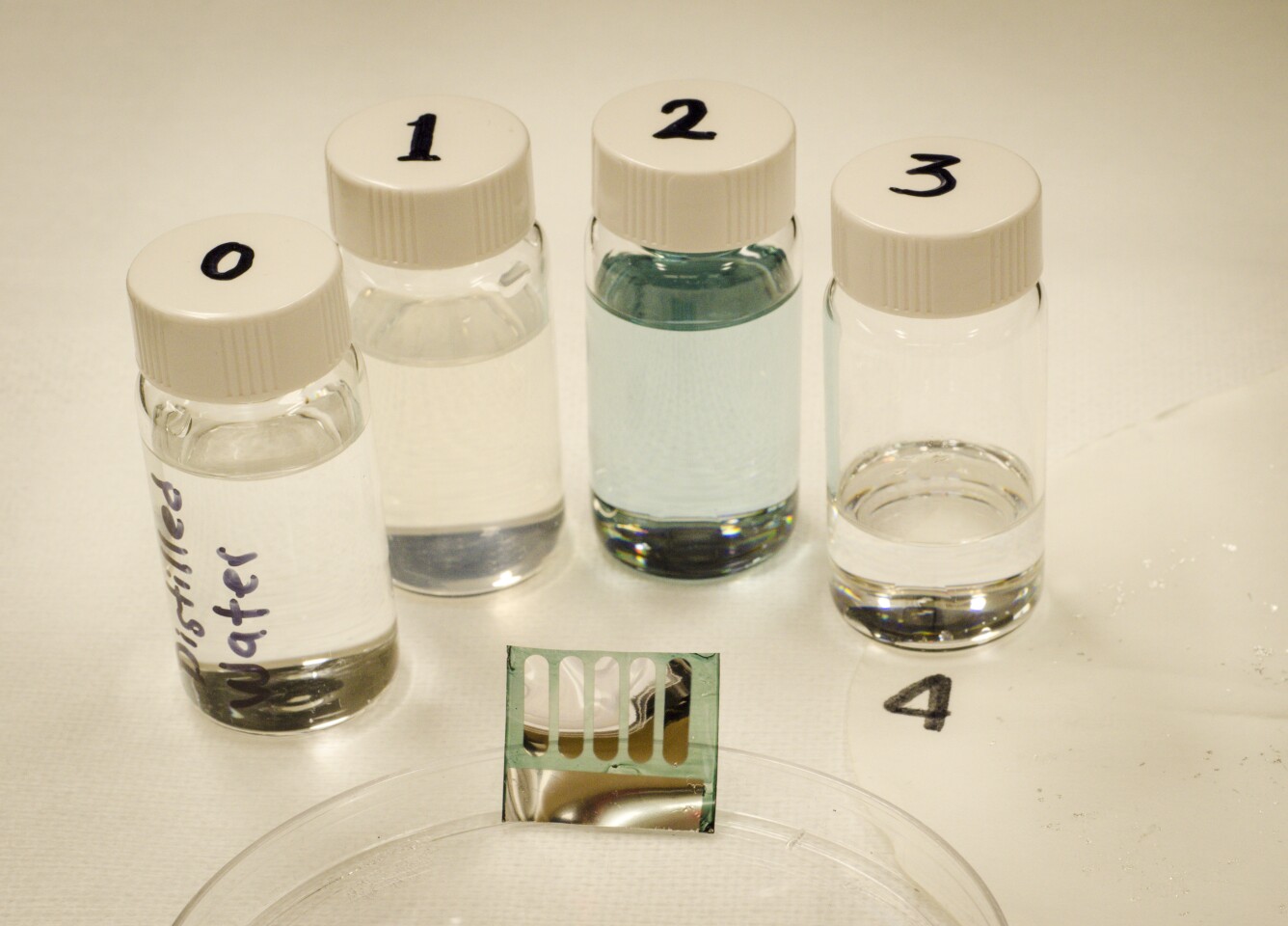 The new solar cells are fabricated on cellulose nanocrystal (CNC), which is derived from plants, including trees