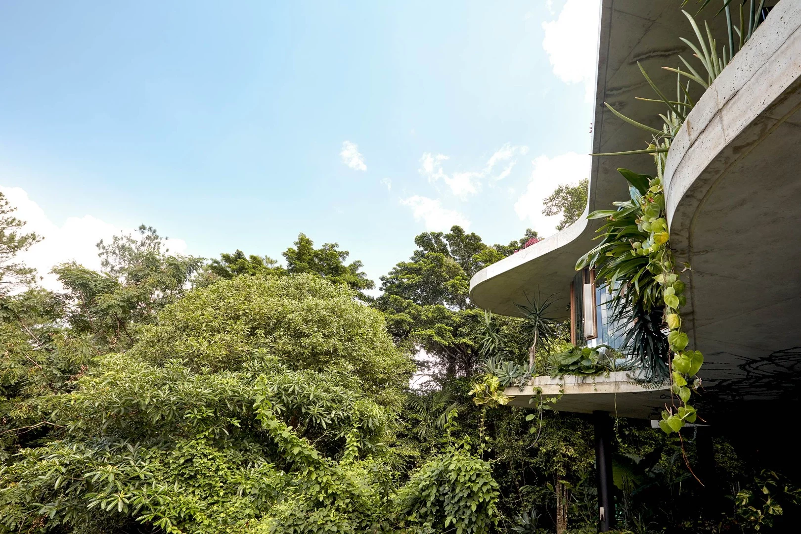 The Planchonella House sits on a 4,818-square-meter block (52,000-sq ft) on the edge of a nature park in the northern Australian coastal city of Cairns