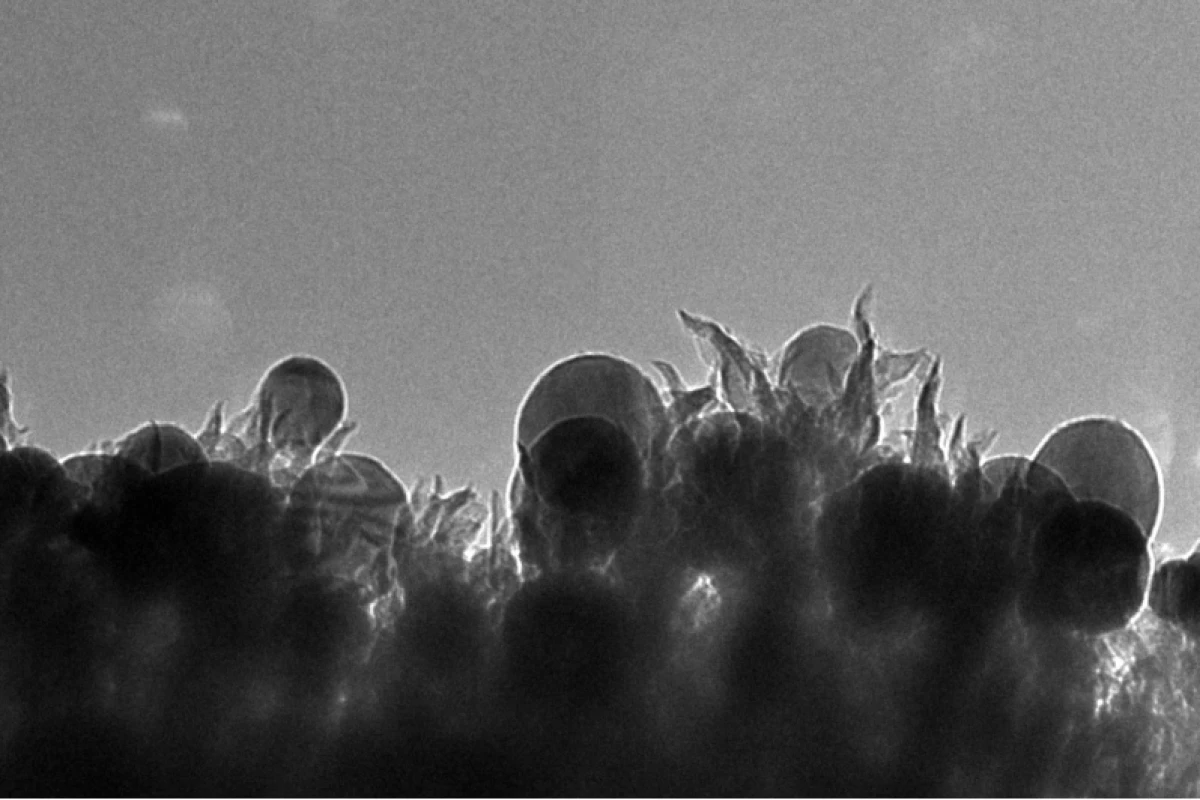 A photomicrograph of the ORNL catalyst showing the carbon nanospikes that can convert carbon dioxide into ethanol