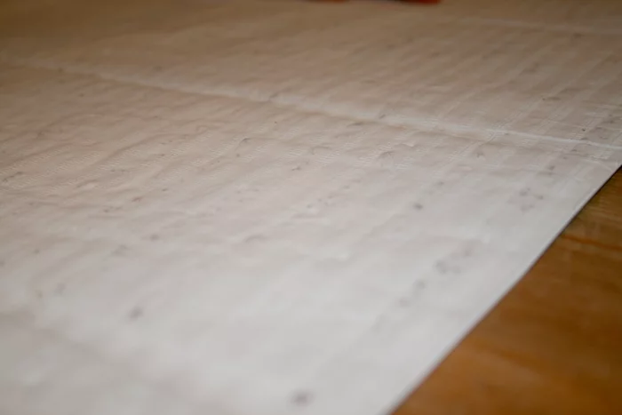 The seeds are embedded on the back of the wrapping paper, within layers of biodegradable tissue paper (Photo: Eden's Paper)