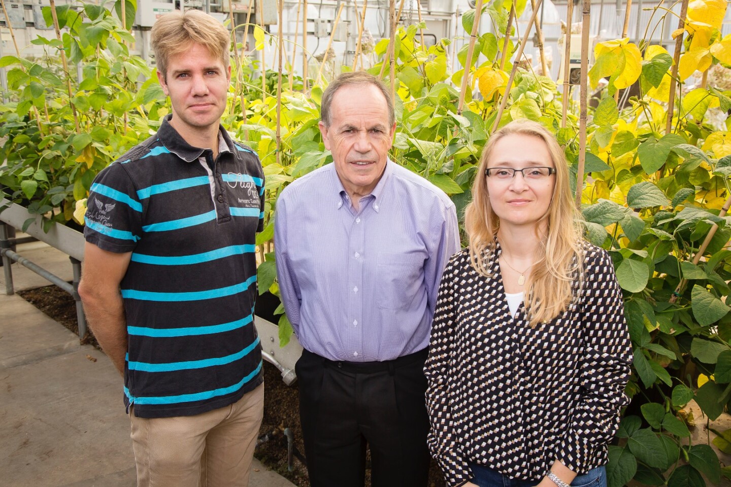 Stephen P. Long, a professor of crop sciences and of plant biology (center), with postdoctoral researchers Johannes Kromdijk, (left) and Katarzyna Glowacka