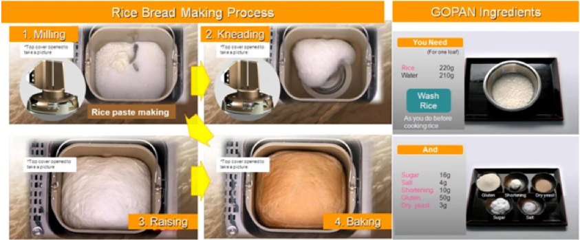 GOPAN's process