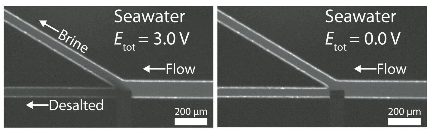 When the electrical current is applied, salt tagged with a fluorescent tracer flows up one branch in the channel (left) – when the current is shut off, the salt flows down both branches