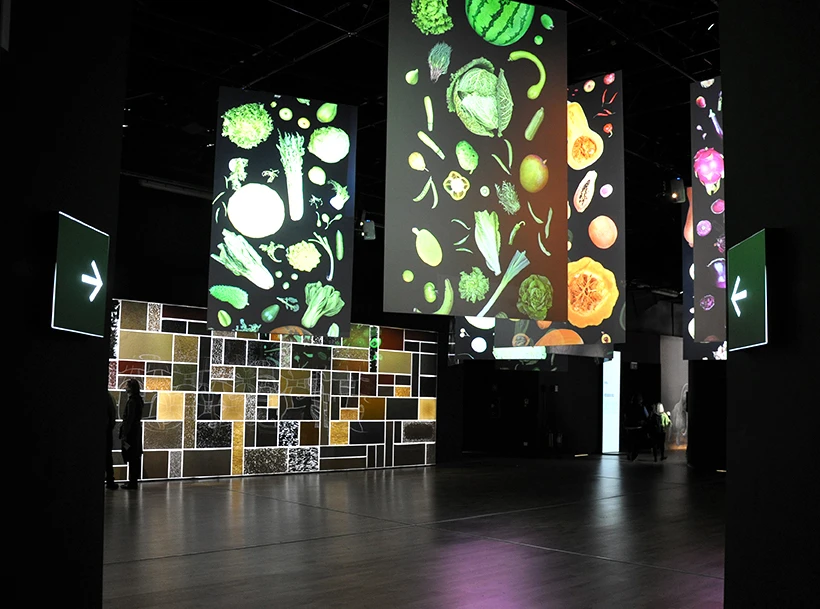 The spaces explore the impact of food production processes