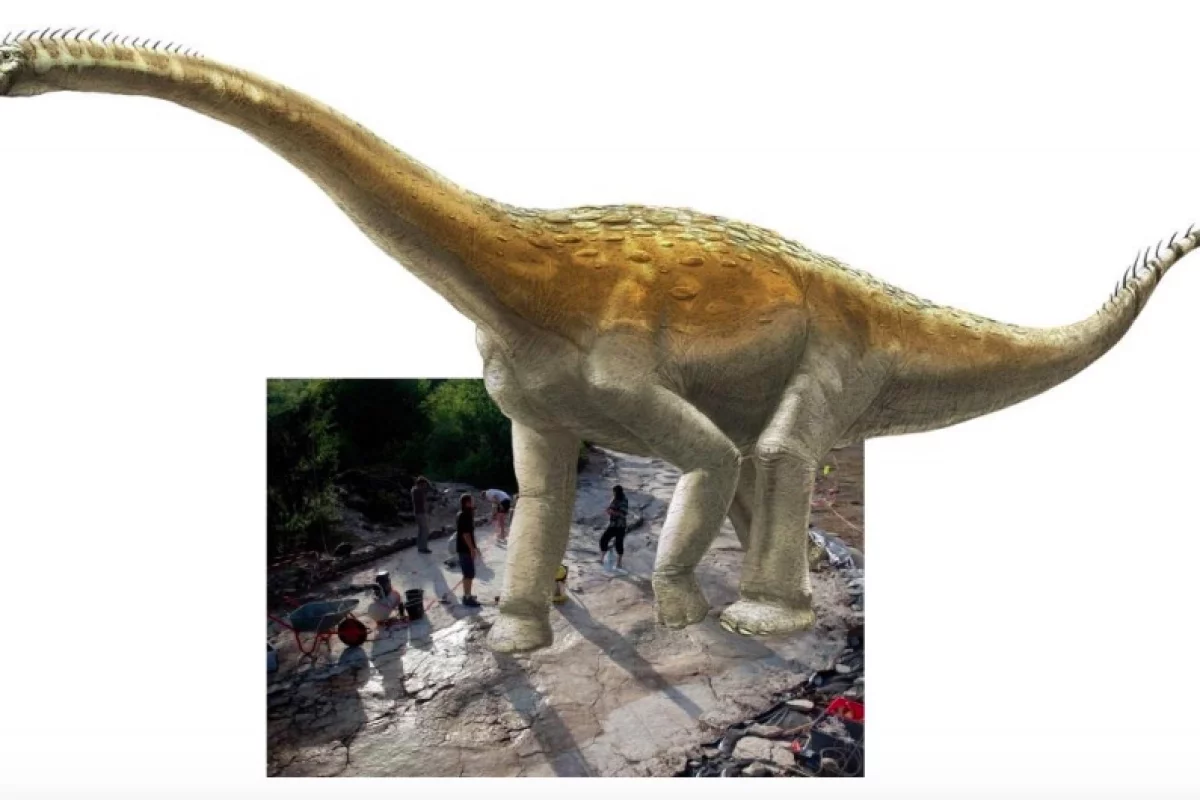 Artist's impression of the Plagne sauropod, superimposed on its tracks