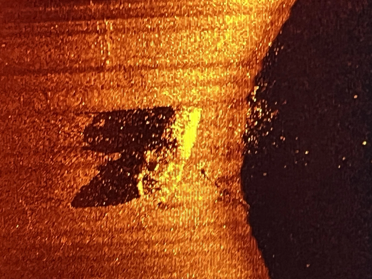 Side sonar image of the wreck of the Quest