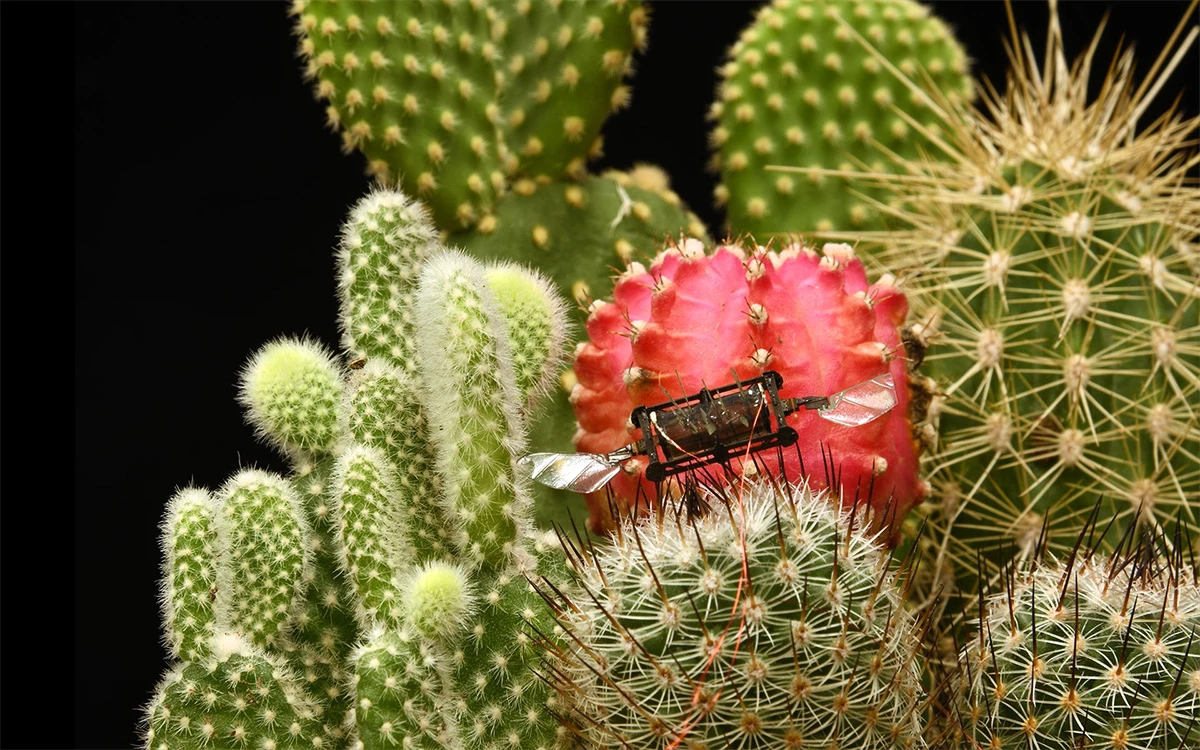 These bots could one day aid in the task of pollinating plants to grow fruits and vegetables, traditionally carried out by bees