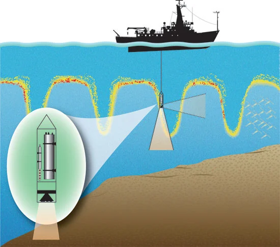 The setup that was used for testing the zooplankton-detecting high-frequency system