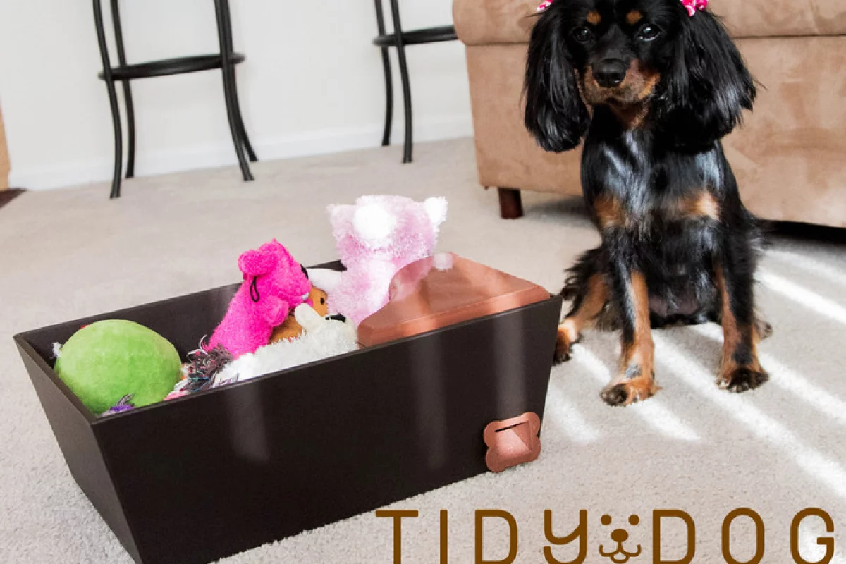 Tidy Dog is designed to dispense treats when a dog puts away its toys