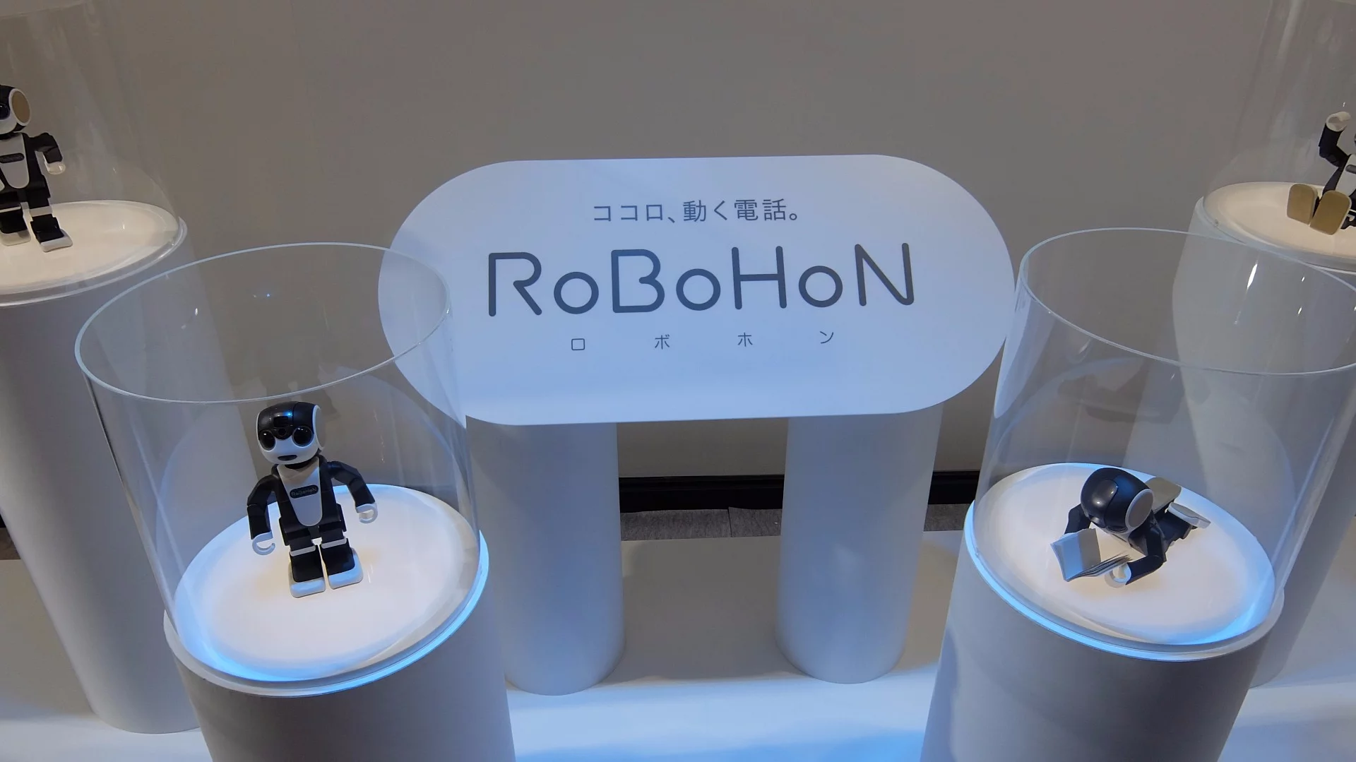 RoBoHoN has an integrated camera in its head, and can throw captured moments onto any suitably flat surface courtesy of a built-in projector