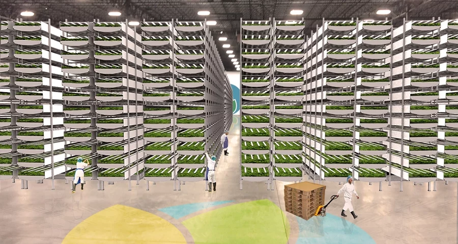 The modular vertical stacks used by AeroFarms for growing crops make its operation highly scalable