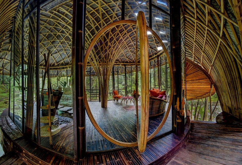 The height and position of the windows inside the River Bend house are deliberately staggered to make the most of the jungle views