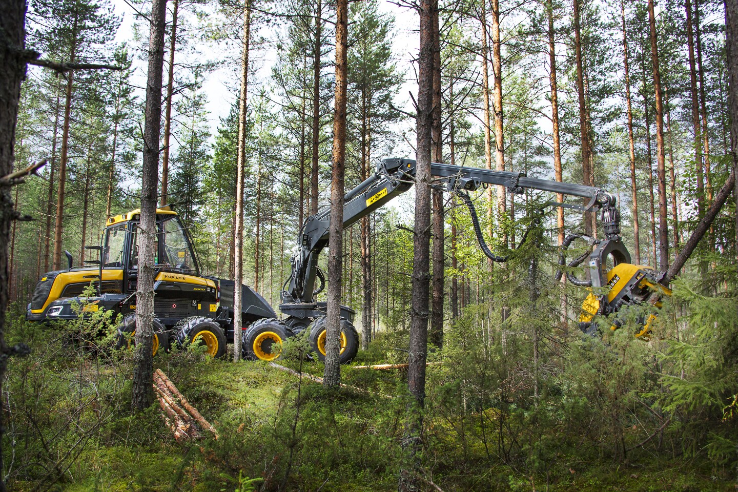 Ponsse timber harvesters The ruthlessly efficient modern lumberjack