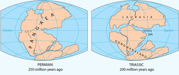 Earth in its early days. Gondwana comprised Africa, South America, Australia, Antarctica, the Indian subcontinent and the Arabian Peninsula before it broke apart.