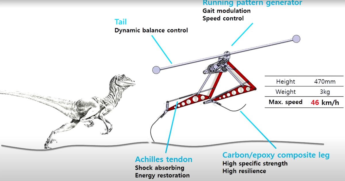 Flat out quick two-legged robotic designed like a Velociraptor
